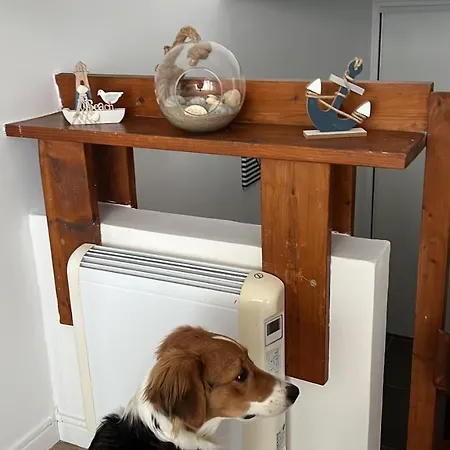 Refuge Des Pirates * Deauville