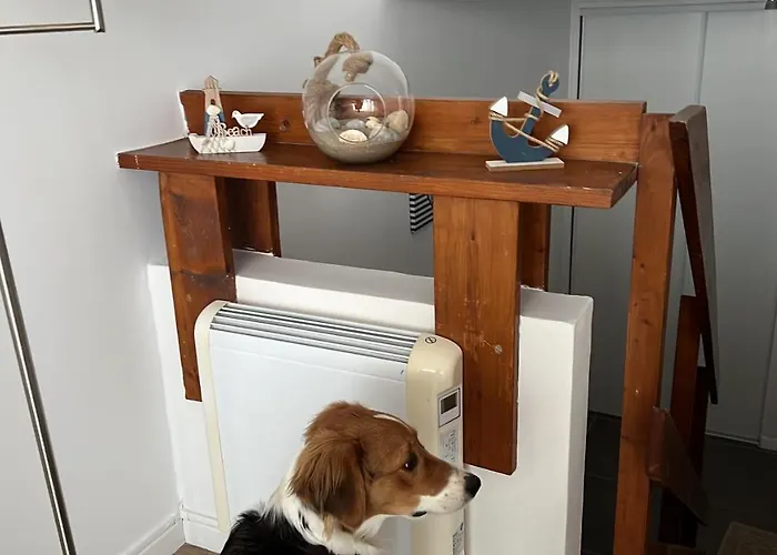 Refuge Des Pirates * Deauville